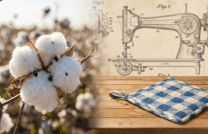 Vieno medvilnės gaminio istorija: neįtikėtina kelionė nuo sėklos iki Jūsų virtuvės puodkėlės medvilnė ir medvilnės padėkliukas