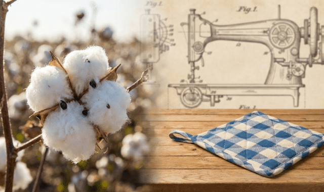 medvilnė ir medvilnės padėkliukas