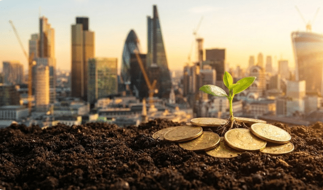 nuotrauka simbolizuoja pinigų augimą