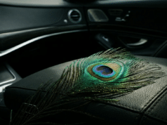 Kodėl prabangus automobilis nesuteiks trokštamos pagarbos: evoliucijos spąstai ir tylioji jėga ant tamsios, matinės prabangaus automobilio prietaisų skydelio odos guli ryški, kontrastinga povo plunksna