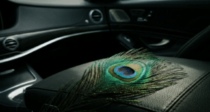 Kodėl prabangus automobilis nesuteiks trokštamos pagarbos: evoliucijos spąstai ir tylioji jėga ant tamsios, matinės prabangaus automobilio prietaisų skydelio odos guli ryški, kontrastinga povo plunksna